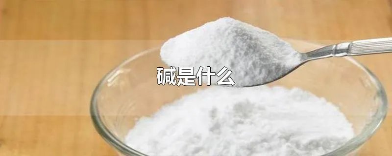 碱是什么
