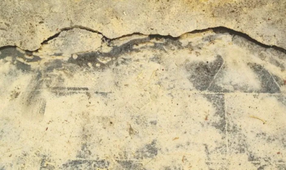 40分钟内中日美接连地震，三者之间是否有关联？