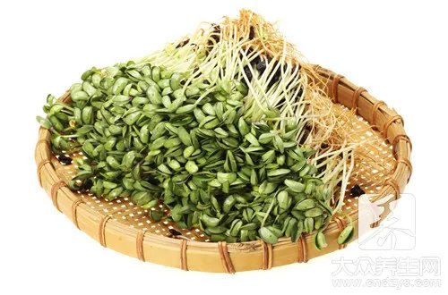 自己如何生绿豆芽