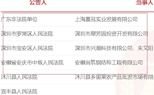 人民法院报公告查询