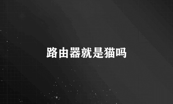 路由器就是猫吗