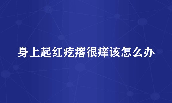 身上起红疙瘩很痒该怎么办