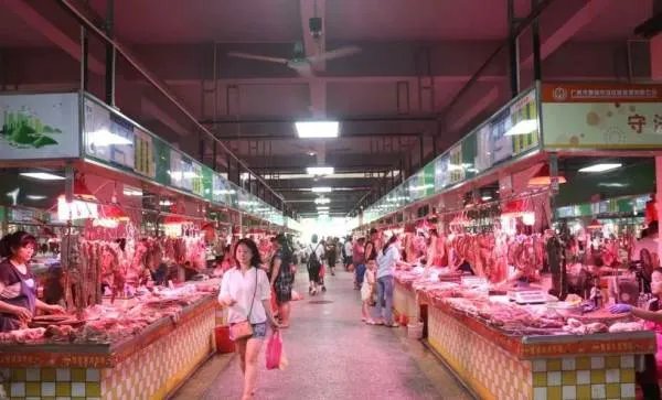 8月猪肉价格同比下降44.9%,是什么原因导致的?