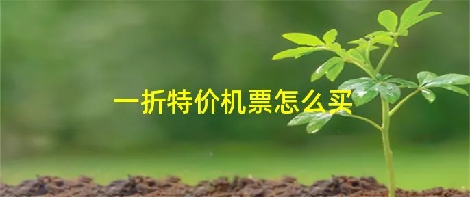 一折特价机票怎么买