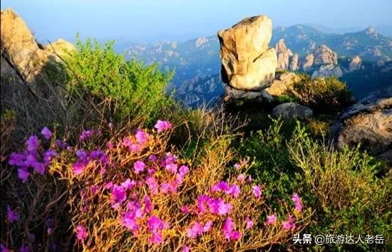 现在去什么地方旅游最好？