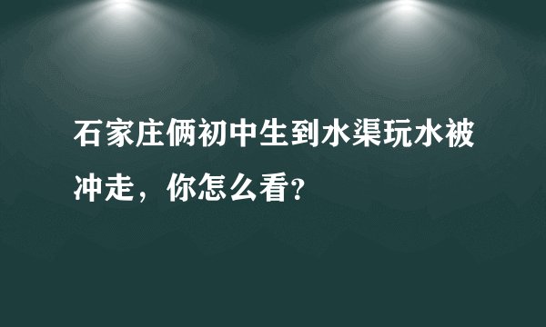 石家庄俩初中生到水渠玩水被冲走，你怎么看？