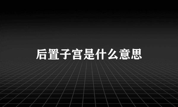 后置子宫是什么意思