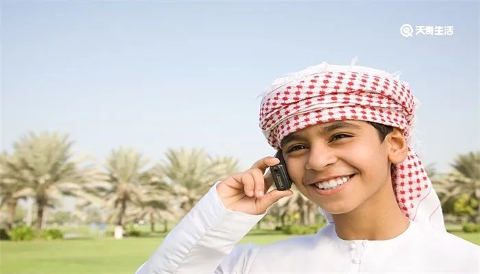 沙特阿拉伯和阿联酋的区别