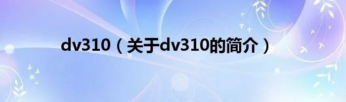 dv310（关于dv310的简介）