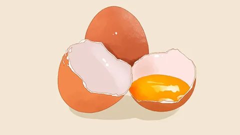 蛋清的功效与作用