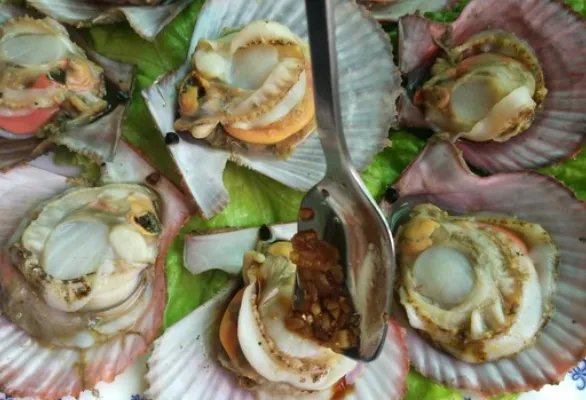 贝壳的做法怎样做好吃?