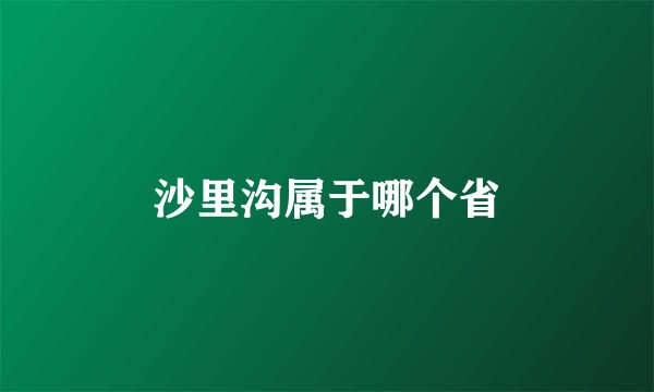 沙里沟属于哪个省
