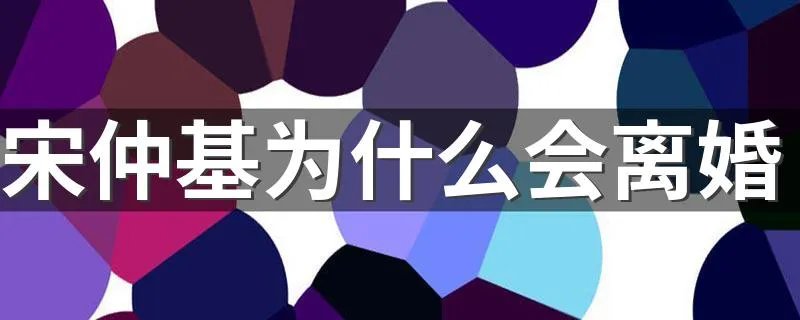 宋仲基为什么会离婚 宋仲基宋慧乔离婚解析