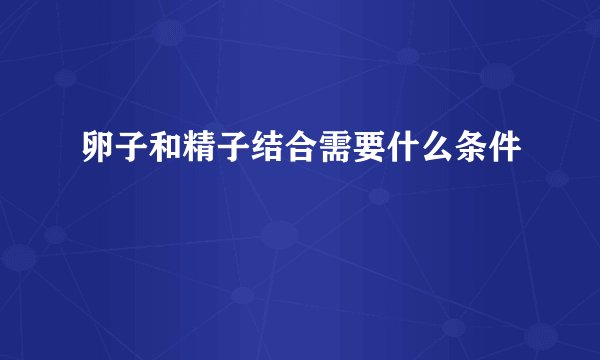 卵子和精子结合需要什么条件