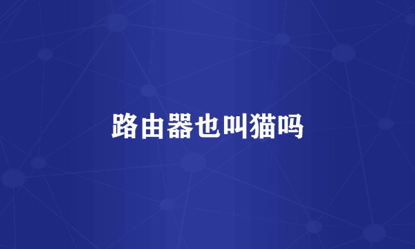 路由器也叫猫吗