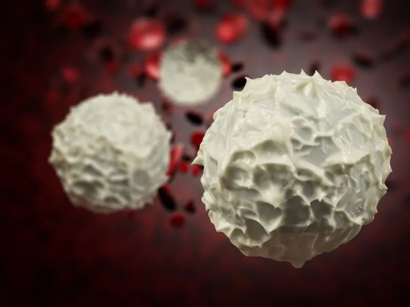 白介素的作用与功效