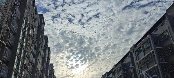 晚上看到正能量你懂我意思