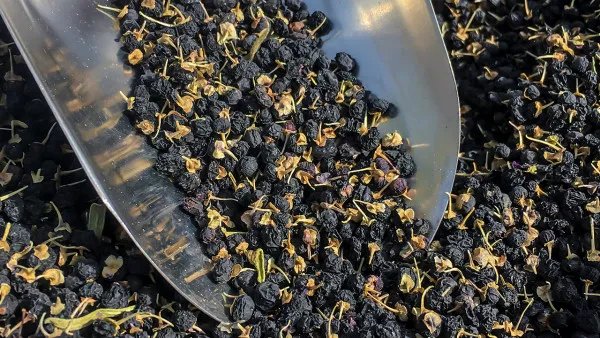 为什么香蕉和枣不能一起吃？吃香蕉有什么好处？