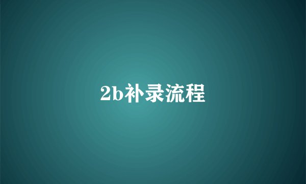 2b补录流程