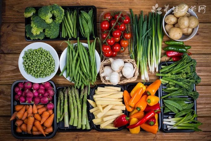 清肺润肺吃什么好