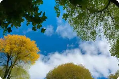 如何在线观看中央电视台8套在线直播