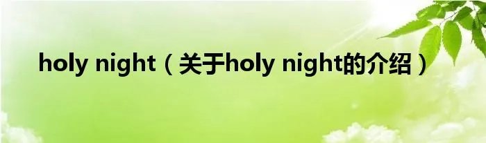 holy night（关于holy night的介绍）