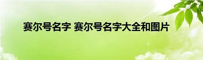 赛尔号名字 赛尔号名字大全和图片