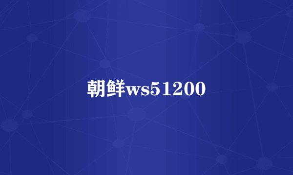 朝鲜ws51200