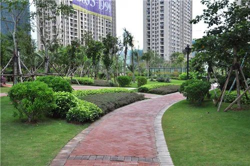 小区绿化率多少合适