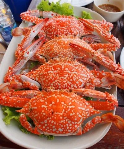 海螃蟹蒸多久最佳时间