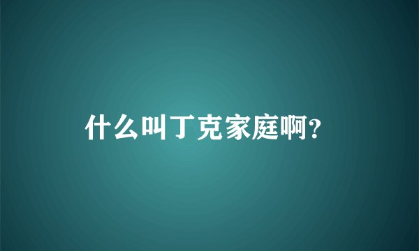 什么叫丁克家庭啊？