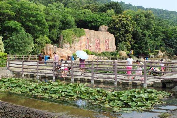 安吉旅游景点排名前十有哪些？