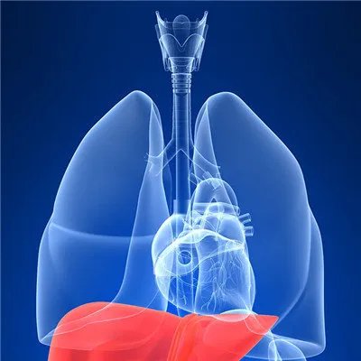 五脏六腑的症状表现？