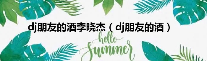 dj朋友的酒李晓杰（dj朋友的酒）