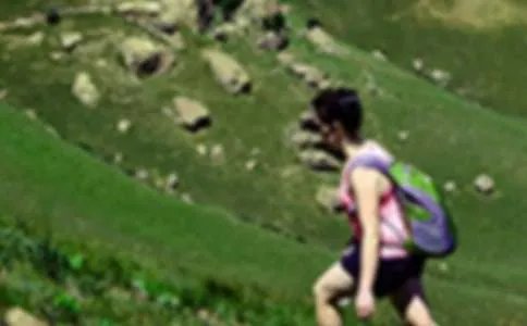 爬山虎的自述作文