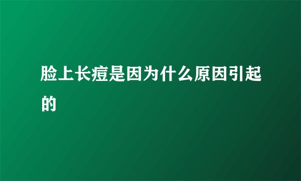 脸上长痘是因为什么原因引起的