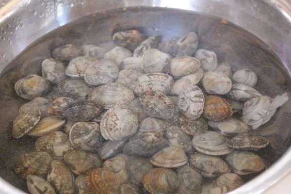 贝壳的做法怎样做好吃?