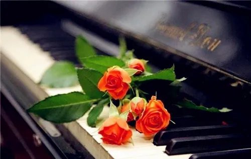 适合婚礼的钢琴曲有哪些 婚礼演奏的钢琴曲推荐