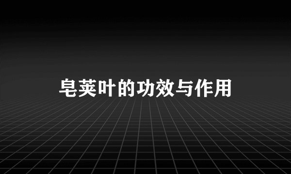 皂荚叶的功效与作用