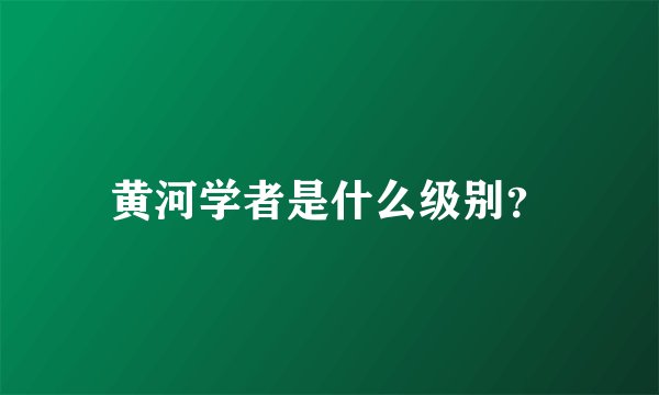 黄河学者是什么级别？