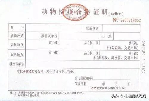 猪肉检疫章的区别？