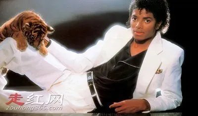 迈克尔杰克逊演唱会晕倒人数最多的一次 为什么会死人