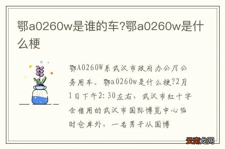 鄂a0260w是谁的车?鄂a0260w是什么梗