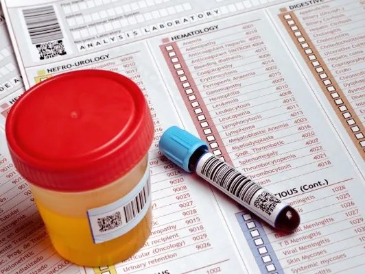 华蟾素口服液的作用