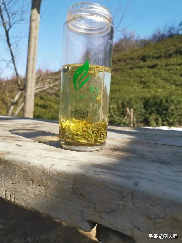 正宗信阳毛尖价格多少钱一斤？