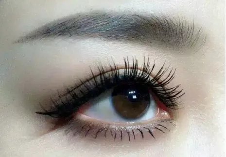 植眉毛大概多少费用