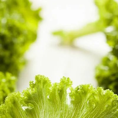 无痕植发是怎么回事