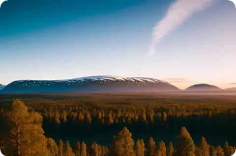 有一首歌的歌词【风流倜傥，英俊潇洒，独此一家别无分店】是什么歌？