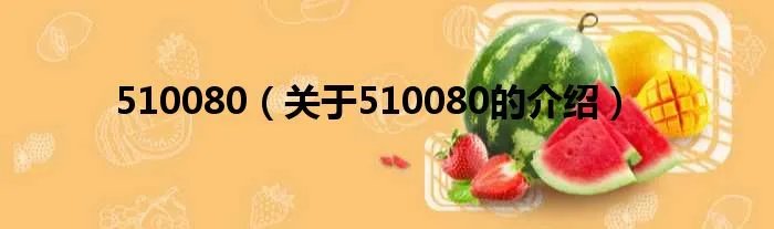 510080（关于510080的介绍）