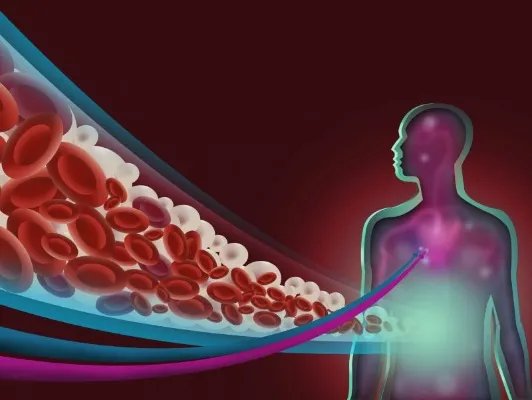 人体免疫系统的三道防线